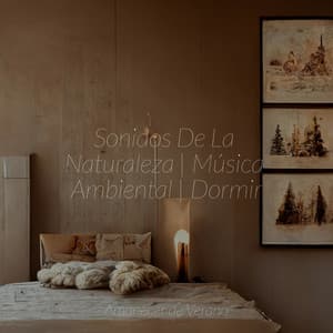 Sonidos De La Naturaleza | Música Ambiental | Dormir - New Age
