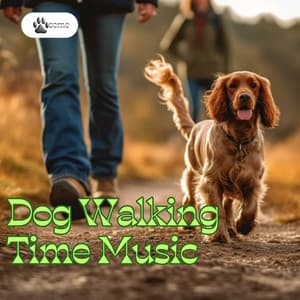 Dog Walking Time Music - PAWsome