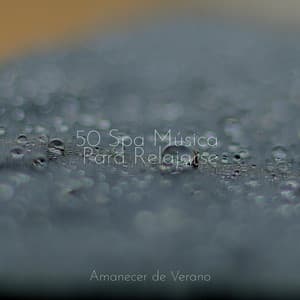 50 Spa Música Para Relajarse - Musica Para Estudiar Academy