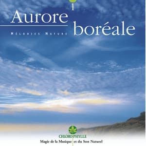 Chlorophylle 1 : Aurore boréale - Relaxing Zen Nature