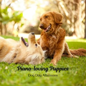 Piano-loving Puppies: Dog Day Afternoon - Piano Relaxation Music Masters