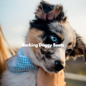 Barking Doggy Beats - Calm Dog Music