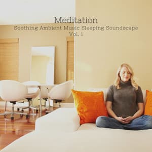Meditation: Soothing Ambient Music Sleeping Soundscape Vol. 1 - Rainforest Meditations