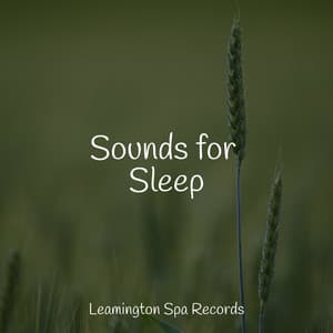 Sounds for Sleep - Tibetan Singing Bowls for Relaxation