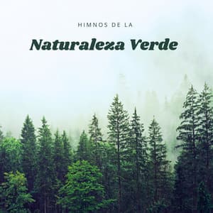 Himnos De La Naturaleza Verde - Verde 5