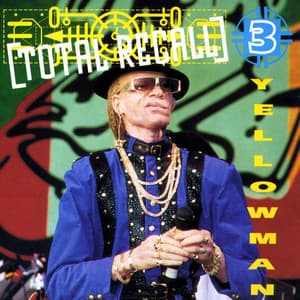 Total Recall Vol. 3 - Yellowman