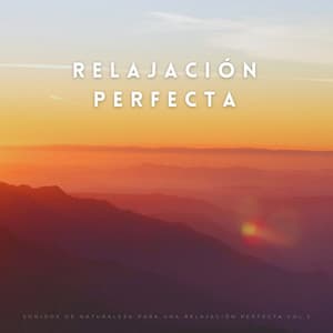 Sonidos De Naturaleza Para Una Relajación Perfecta Vol.2 - Sonidos Naturaleza