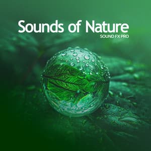 Sounds of Nature - Sound FX Pro