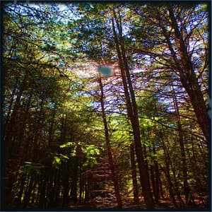 Sensory Reprogramming - Meditation Spa