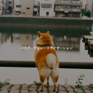 パウズ・フォー・リラクゼーション - Playlist Musica para Leer