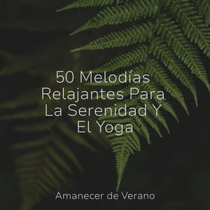 50 Melodías Relajantes Para La Serenidad Y El Yoga - Sonido de lluvia