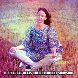 11 Binaural Beats Enlightenment Snapshot - Binaural Ambience