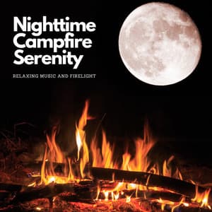 Nighttime Campfire Serenity: Relaxing Music and Firelight - The Real Animal relaxer