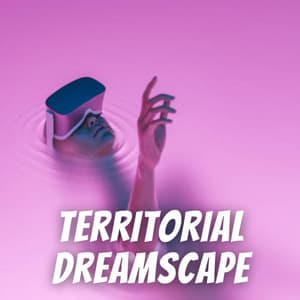 Territorial Dreamscape - White Sleep Noise