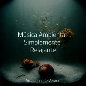 Música Ambiental Simplemente Relajante - Meditation Relaxation Club
