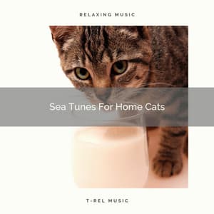 Sea Tunes For Home Cats - Cat Total Relax