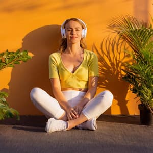 Lofi Armónico: Ritmos Para La Relajación - Pájaros en la mañana