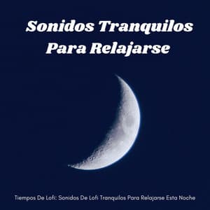 Tiempos De Lofi: Sonidos De Lofi Tranquilos Para Relajarse Esta Noche - Dormir lofi
