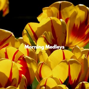 Morning Medleys - Restaurante de Musica de Lujo