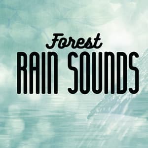 Forest Rain Sounds - Rain for Deep Sleep