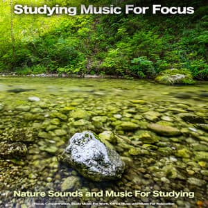Studying Music For Focus: Nature Sounds and Music For Studying, Focus, Concentration, Study Music For Work, Office Music and Music For Relaxation - Concentration Music for Work
