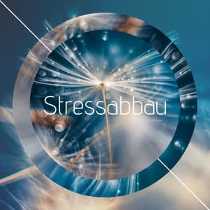 Stressabbau: Wunderschöne Entspannungsmusik, Entspannende Musik, Beruhigende Musik, Stressabbaumusik - Schlafen Akademie