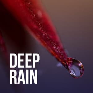 Deep Rain - Rain Recordings