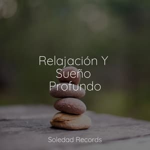Relajación Y Sueño Profundo - Musica para Meditar Especialistas