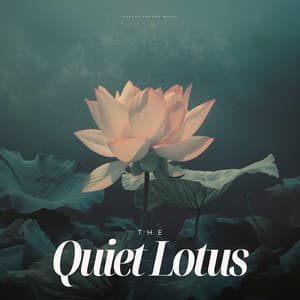 The Quiet Lotus - Spa Music Land
