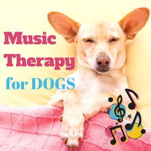 Music Therapy for Dogs – Relaxing Instrumental Music with Nature Sounds for Deep Sleep, Stress Relief, Anti Anxiety - Dogs Music Therapy