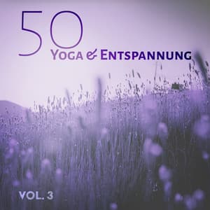 50 Yoga & Entspannung Vol. 3: Zen, Musik fur Yoga, Muskelentspannung, Reiki, Naturgeräusche, Meditation - Yoga Musik