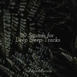 50 Sounds for Deep Sleep Tracks - kinderliedjes