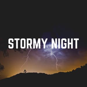 Stormy Night - Sounds Of Rain & Thunder Storms