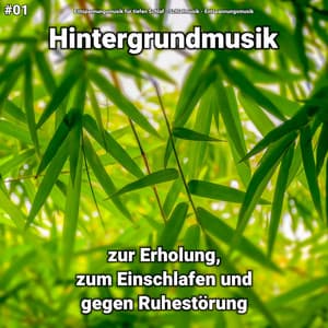 #01 Hintergrundmusik zur Erholung, zum Einschlafen und gegen Ruhestörung - Entspannungsmusik für tiefen Schlaf