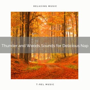 Thunder and Woods Sounds for Delicious Nap - Rain Spa