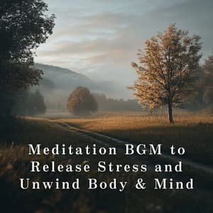 Meditation BGM to Release Stress and Unwind Body & Mind - Relaxing Piano Crew