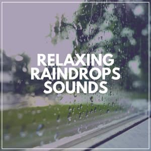 Relaxing Raindrops Sounds - Always Raining