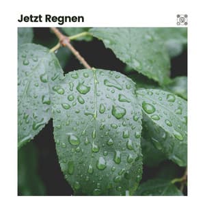 Jetzt Regnen - Regengeräusche