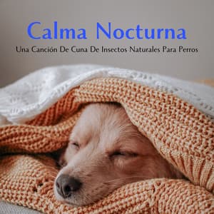Calma Nocturna: Una Canción De Cuna De Insectos Naturales Para Perros - Proyecto Naturaleza Ambiental