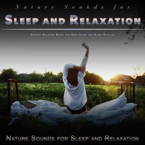 Nature Sounds for Sleep and Relaxation: Ambient Relaxing Music for Deep Sleep and Sleep Playlist - Nature Sounds for Sleep and Relaxation