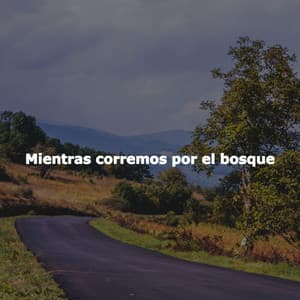 Mientras corremos por el bosque - Música Relax para Bares