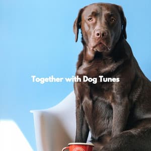 Together with Dog Tunes - Musica Jazz Instrumental