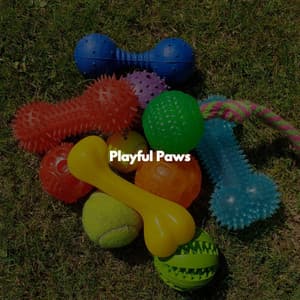 Playful Paws - Lounge Smooth Jazz Deluxe