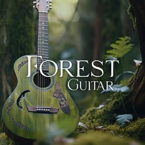 Forest Guitar - Beth Souls