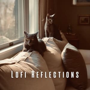 Lofi Reflections: Calming Tunes for Peaceful Cat Time - LOFI RADIO