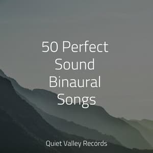 50 Perfect Sound Binaural Songs - Sounds Of Nature: Thunderstorm