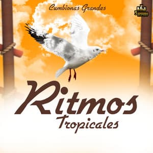 Cumbionas Grandes - Ritmos Tropicales
