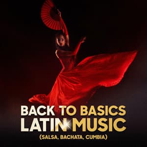 Back to Basics Latin Music - Latin Music All Stars