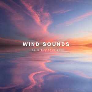 Wind Sounds Background Ambience - Zen Sounds