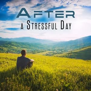 After a Stressful Day: Reduce Stress Levels, Boost a Positive Mindset and Increase a Feeling of Well-Being with Pure Nature Noises - Sound Therapy Masters